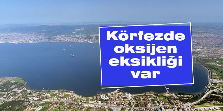 Körfezde oksijen eksikliği var