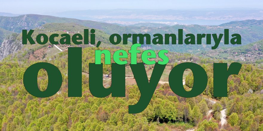 Kocaeli, ormanlarıyla "nefes" oluyor