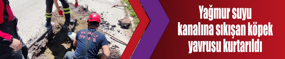 Yağmur suyu kanalına sıkışan köpek yavrusu kurtarıldı