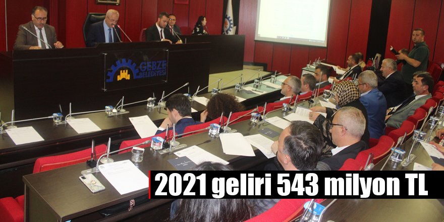 2021 geliri 543 milyon TL