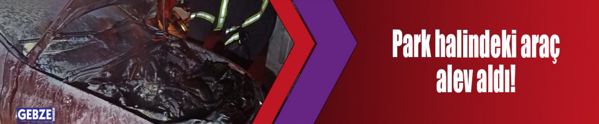 Park halindeki araç alev aldı!