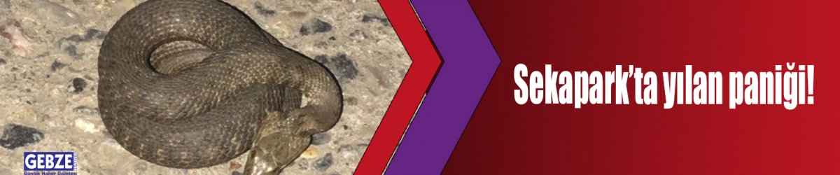 Sekapark’ta yılan paniği!