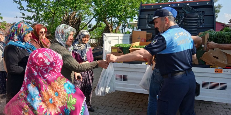 Yüzde 100 hibeli fide dağıtılıyor