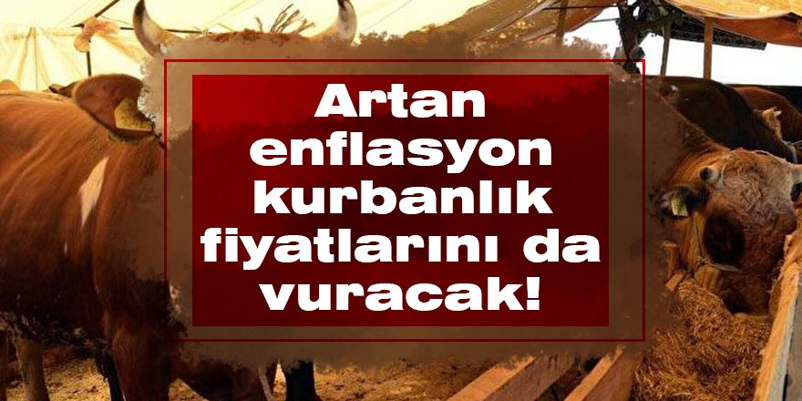 Artan enflasyon kurbanlık fiyatlarını da vuracak!