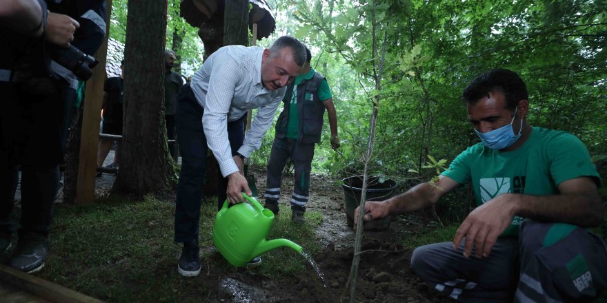 Büyükakın’ndan  Dünya Çevre Günü mesajı