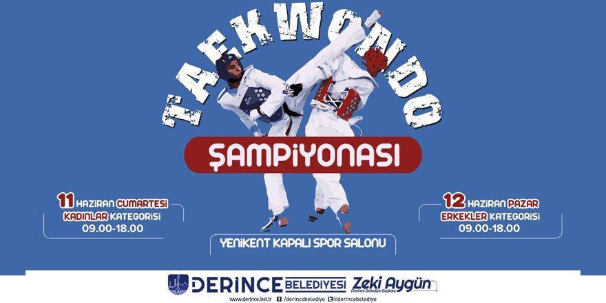 Tekvando şöleni yaşanacak