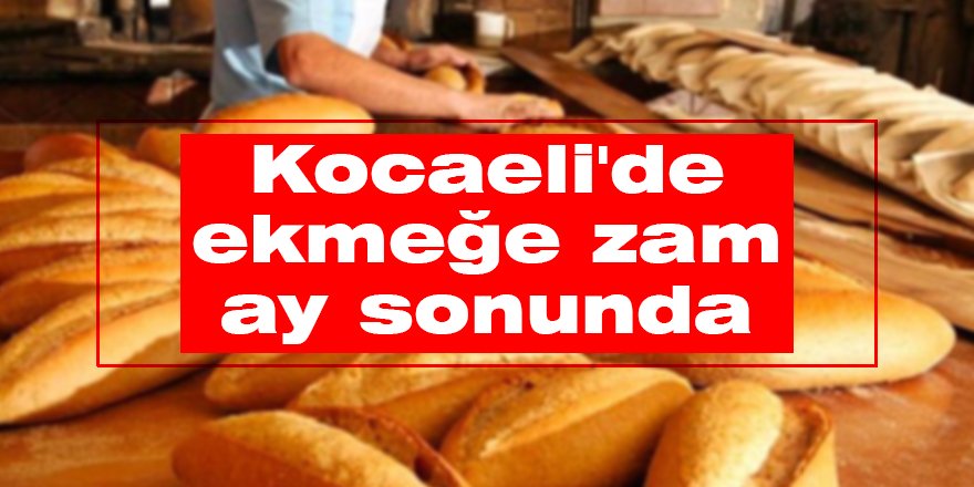 Kocaeli'de ekmeğe zam ay sonunda