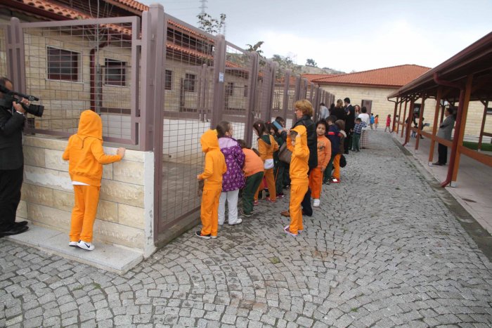 Minikler Hayvanları çok sevdi