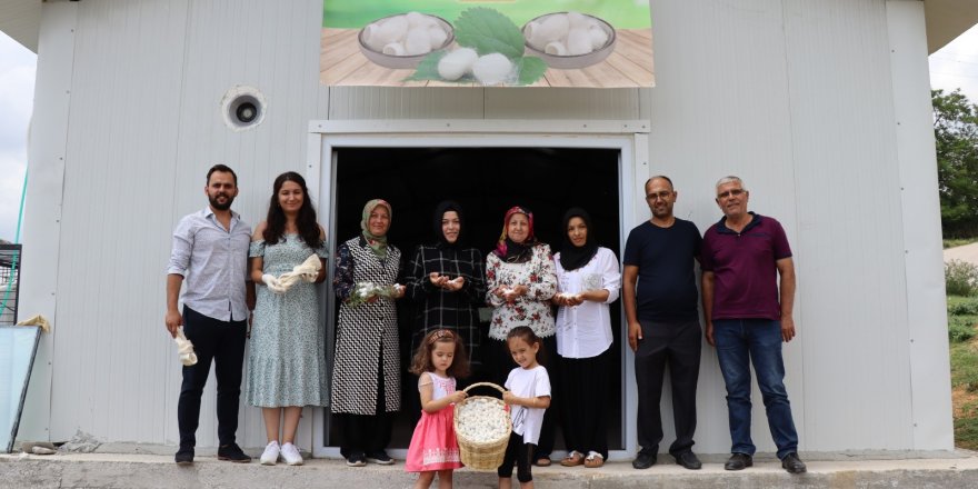 İpek Böceği Besleme Evi’nde ilk koza hasadı yapıldı