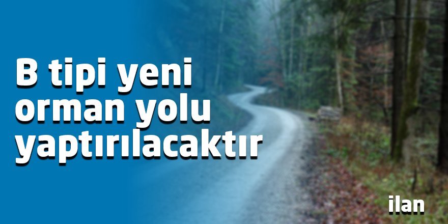 B tipi yeni orman yolu yaptırılacaktır