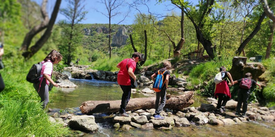 Dört mevsim yaban hayat