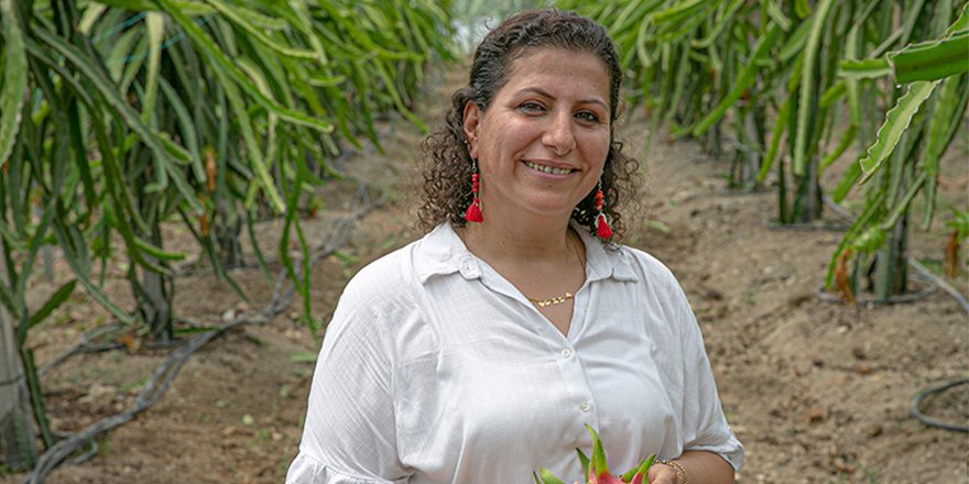 Tatilde görüp yetiştirdi Kocaeli’ye de satıyor