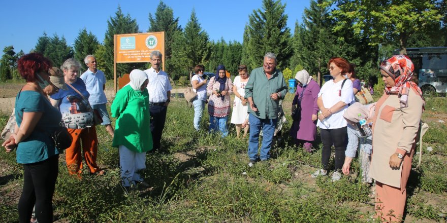 TABİP herkesin beğenisini kazanıyor