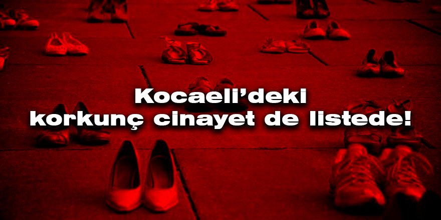 Kocaeli’deki korkunç cinayet de listede!