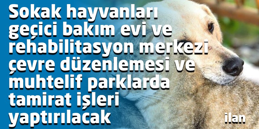 Sokak hayvanları geçici bakım evi ve rehabilitasyon merkezi çevre düzenlemesi ve muhtelif parklarda tamirat işleri yaptırılacak