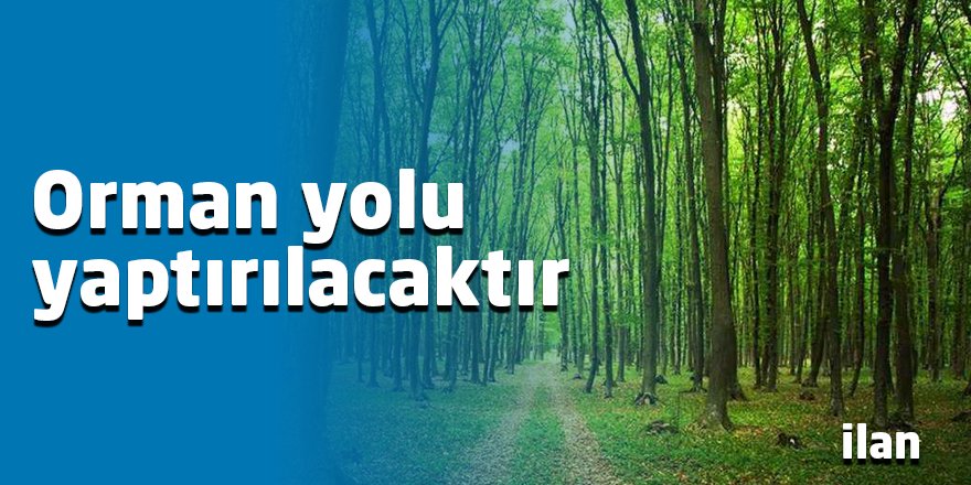 Orman yolu yaptırılacaktır
