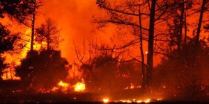 Yunanistan’daki yangında en az 50 kişi yaşamını yitirdi