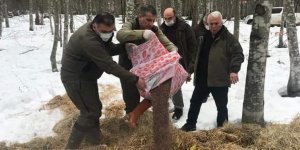Yaban hayvanları unutulmadı