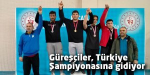 Güreşçiler, Türkiye Şampiyonasına gidiyor