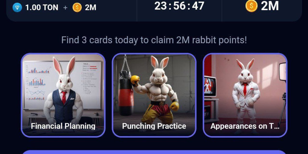 rocky-rabbit-14-eylul-2024-gunluk-kombo-kocaeligundem-1-1-2.jpeg